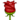 玫瑰花还是月季花呢？