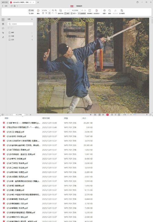 各门各派武林秘籍大全