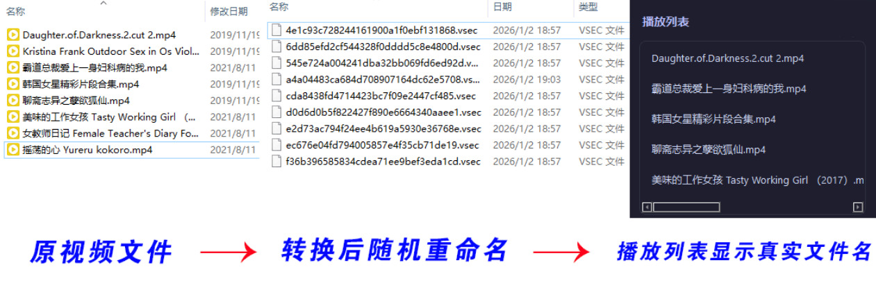 老司机隐私播放器SecureVault Player V0.8.9-趣奇资源网-第5张图片 老司机隐私播放器SecureVault Player V0.8.9-趣奇资源网-第5张图片